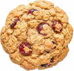 Oats and Cranberry cookie